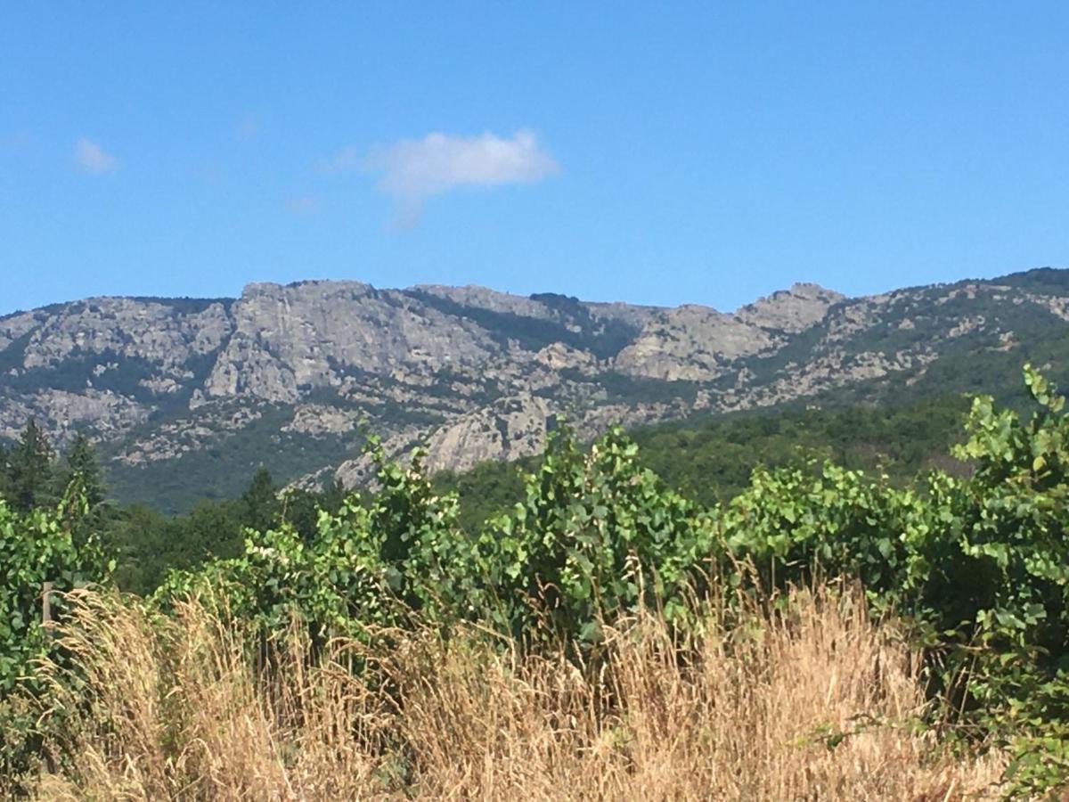 La Petite Adresse De Rose Maison De Vacances Entree Autonome Le Poujol-sur-Orb Buitenkant foto