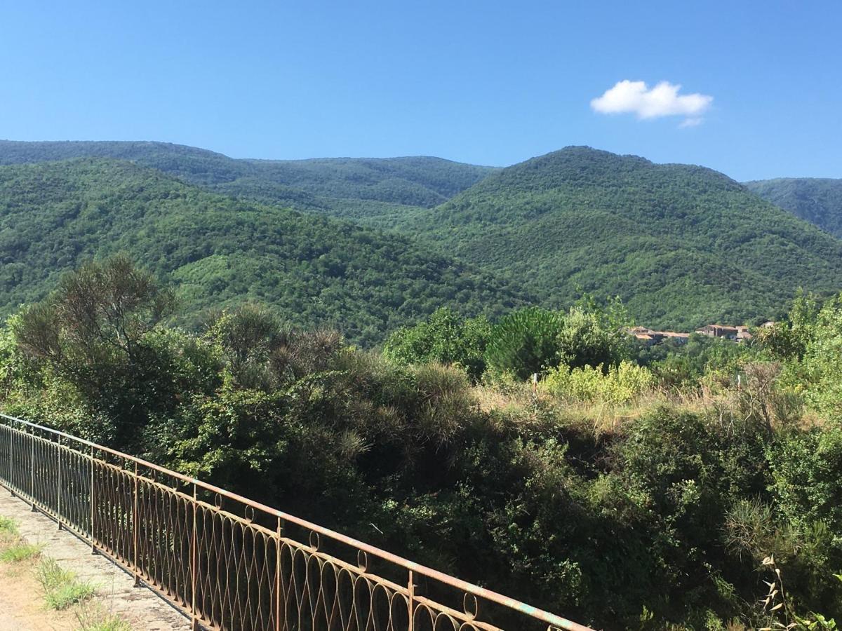 La Petite Adresse De Rose Maison De Vacances Entree Autonome Le Poujol-sur-Orb Buitenkant foto